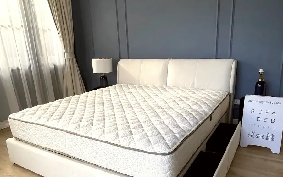 เตียงมีลิ้นชักเก็บของสำหรับห้องนอนเล็ก ประหยัดพื้นที่ Sofa Bed Studio