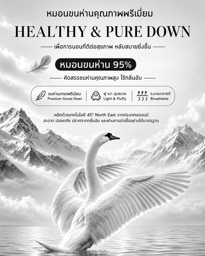 หมอนขนห่านโรงแรม 5 ดาว ราคา