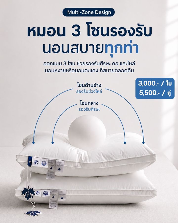 หมอนขนห่าน 3 โซน multi-zone pillow