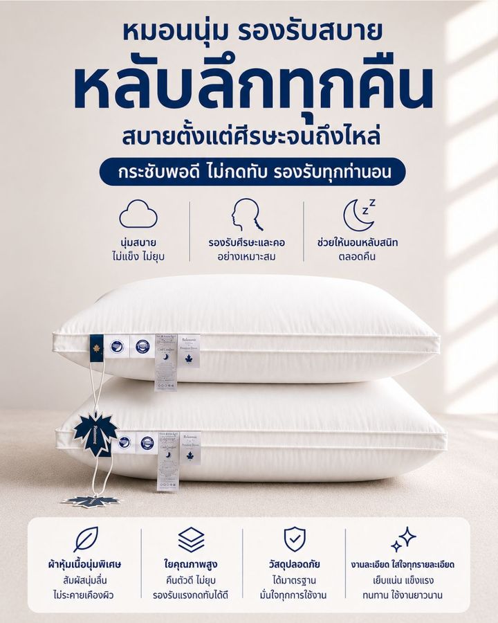 หมอนขนห่าน 3 โซน