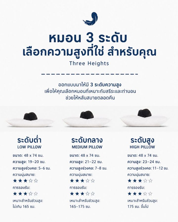 หมอนขนห่าน 3 โซน