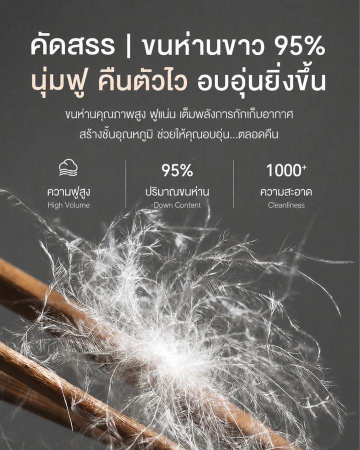 หมอนขนห่าน 6 ชั้น ราคา
