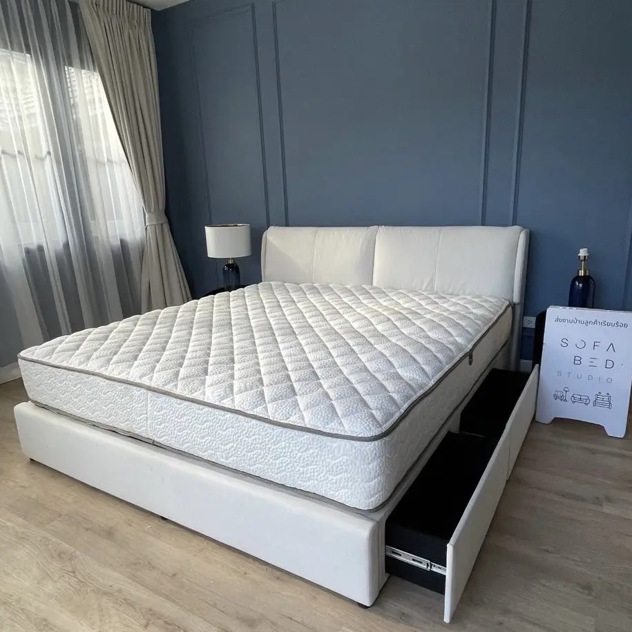 ผลงานเตียงลิ้นชักเก็บของ Sofa Bed Studio