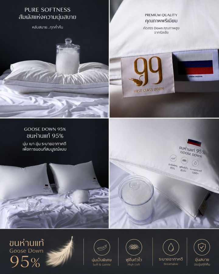 หมอนขนห่านรัสเซีย russian goose down pillow
