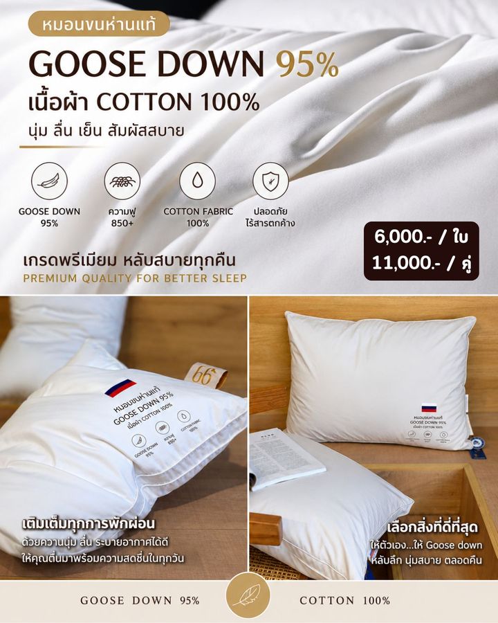 หมอนขนห่านรัสเซีย ราคา